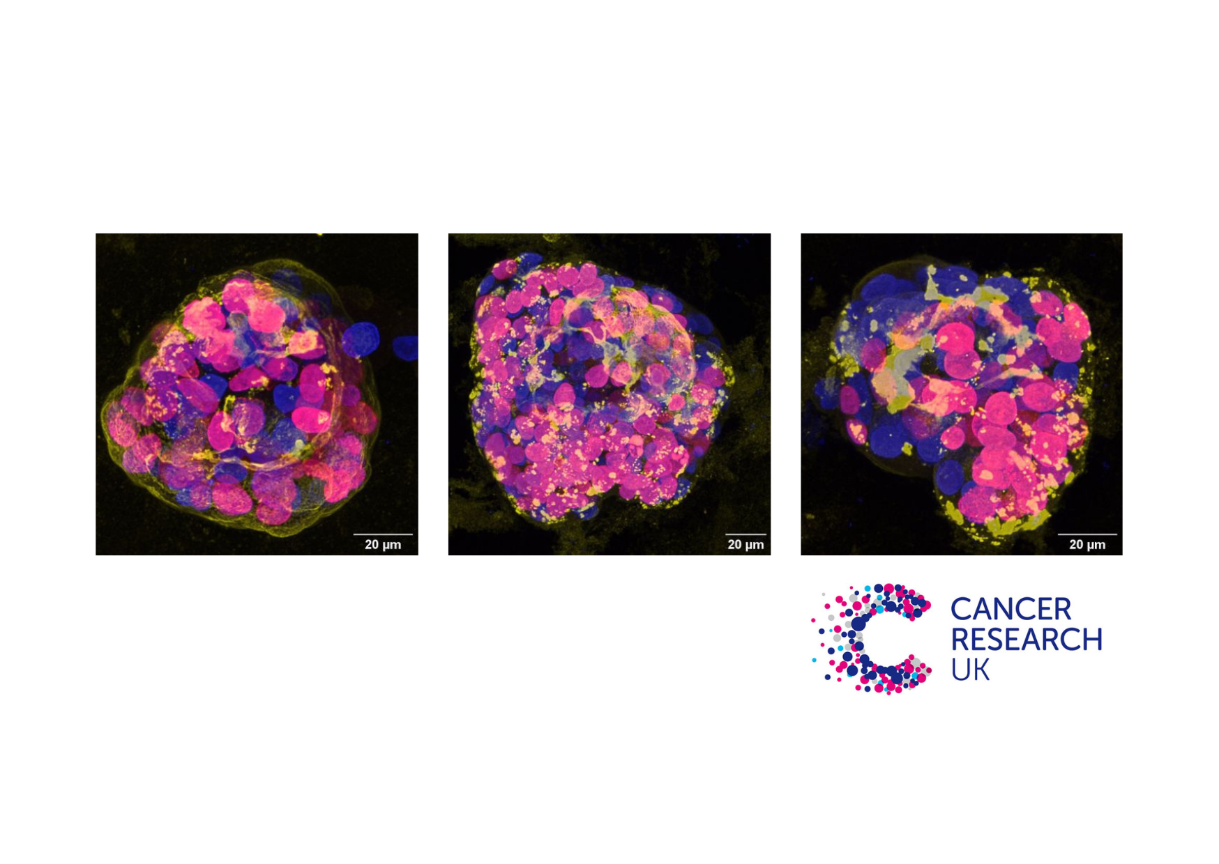 Latest winner in our Research is Beautiful campaign.